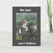 Carte NOUS VOULONS DIRE **HEUREUSE 40e ANNIVERSAIRE** Ca (Devant)