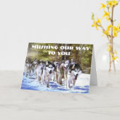 CARTE NOUS VOUS EMMENONS À L'ANNIVERSAIRE (Fleur jaune)