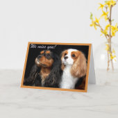 Carte Nous vous manquons Cavalier King Charles Spaniel C (Fleur jaune)