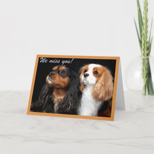 Carte Nous vous manquons Cavalier King Charles Spaniel C (Devant)