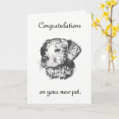 Carte Nouveau animal (Fleur jaune)