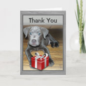 Carte Nouvel animal de compagnie mignon / Merci photo de (Devant)