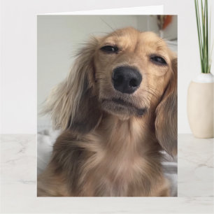 Carte Nouvel anniversaire du chien mignon Dachshund