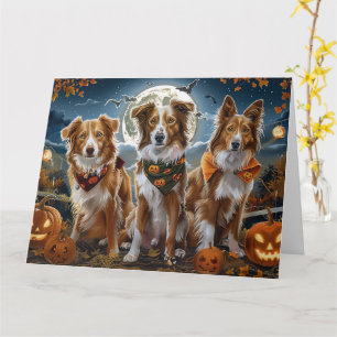 Carte Nouvelle-Écosse Halloween Épouvantable