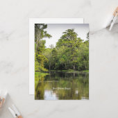 Carte Nouvelle-Orléans, Louisiane, bayou, (Devant/Arrière en situation)