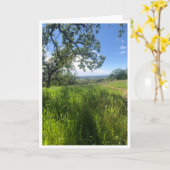 Carte Nouvelle Vie - 1 (Fleur jaune)