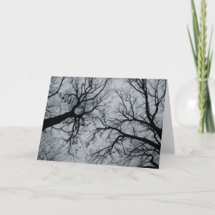 Carte Novembre Ciel à travers les arbres photo