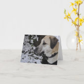 Carte Nowzad Rescue Dog Kilo (Fleur jaune)