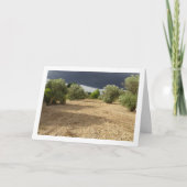 Carte Nuage d'orage sur le paysage de verger de canyon (Devant)