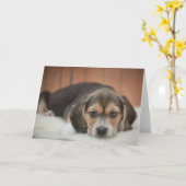 Carte Nuit beagle de chiot (Fleur jaune)