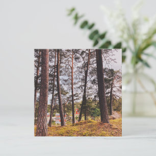 Carte Nuit d'été de l'archipel