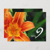 carte numéro de table (Devant / Derrière)