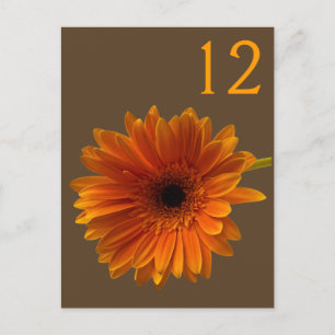 Carte Numéro de table Orange Gerbera Daisy