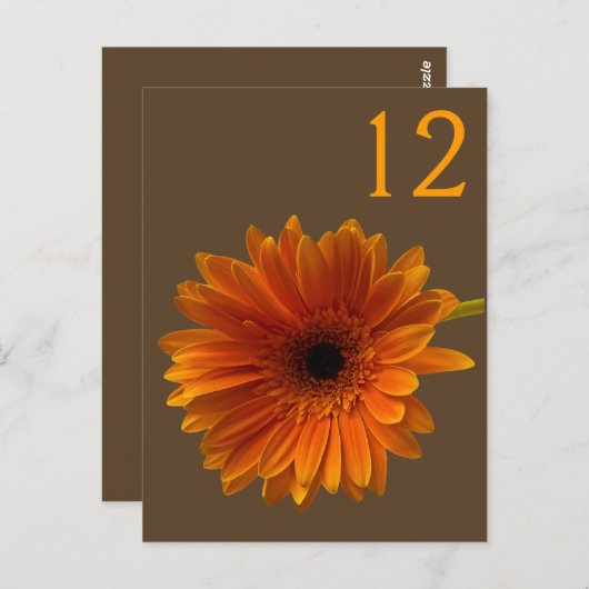 Carte Numéro de table Orange Gerbera Daisy (Devant / Derrière)