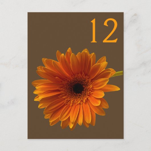 Carte Numéro de table Orange Gerbera Daisy (Devant)