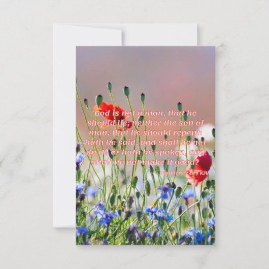 Carte Numéros 23:19 KJV Bible Verse Pic Flat Salutation (Devant)
