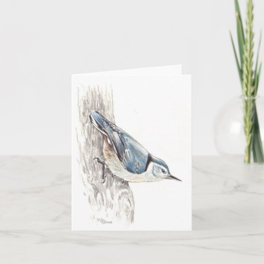 Carte Nuthatch (Devant)