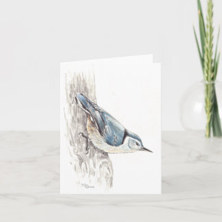 Carte Nuthatch