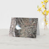 Carte Nuthatch à poitrine blanche (Fleur jaune)