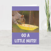 Carte Nutty Squirrel Anniversaire (Devant)