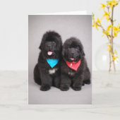 Carte Nuwfie (Fleur jaune)