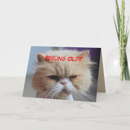 Carte N'y pensez même pas Humour de chat persan (Devant)
