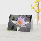 Carte Nymphéa Violet Clair (Fleur jaune)