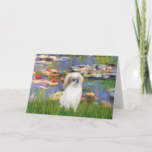 Carte Nymphéas 2 - Japanese Chin (L2)