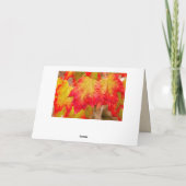 CARTE O CANADA (Dos)