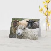 Carte O We Like Sheep (Fleur jaune)