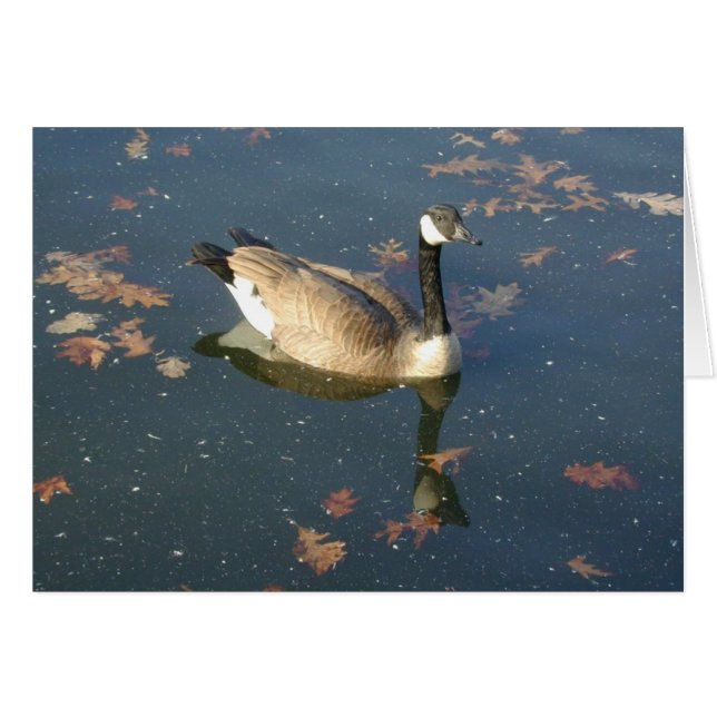 Carte Oak Goose (Devant horizontal)