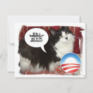Carte Obama Pet/Humour politique