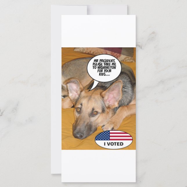 Carte Obama Pet/Whitehouse Humour (Devant)