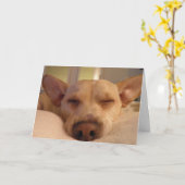 CARTE OBTENEZ BIEN BIENTÔT (Fleur jaune)