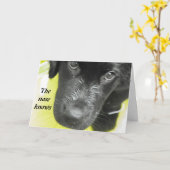 Carte Obtenez Bien Bientôt Puppy Grey Card (Fleur jaune)