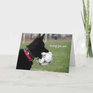 Carte Obtenez Bien Chien De Football