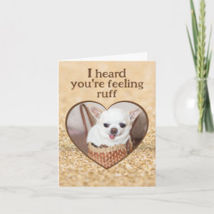Carte Obtenez bien mignon chien chihuahua coeur pétille