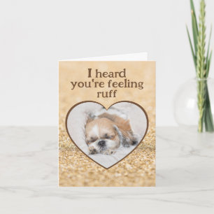 Carte Obtenez bien mignon chien shihtzu sommeil coeur pé
