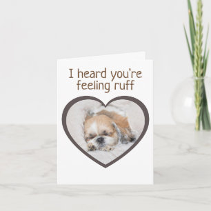 Carte Obtenez bien mignon chihtzu chien chien coeur dorm