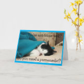 Carte Obtenez de bons voeux de chat noir et blanc (Fleur jaune)