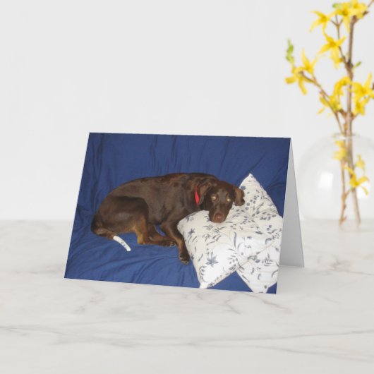 Carte Obtenez Jake bon (Fleur jaune)