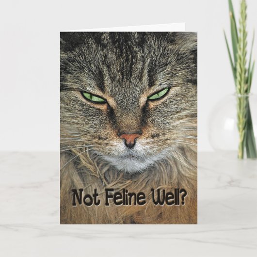 Carte Obtenir le meilleur chat (Devant)
