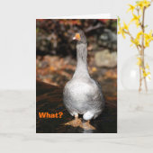 Carte Obtention du diplôme (Fleur jaune)