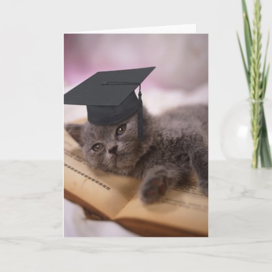 Carte Obtention du diplôme, chat avec le casquette (Devant)