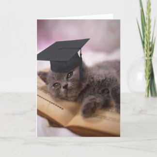 Carte Obtention du diplôme, chat avec le casquette