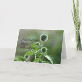 Carte Obtention du diplôme espagnole (Devant)