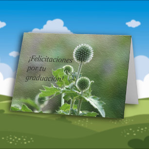 Carte Obtention du diplôme espagnole