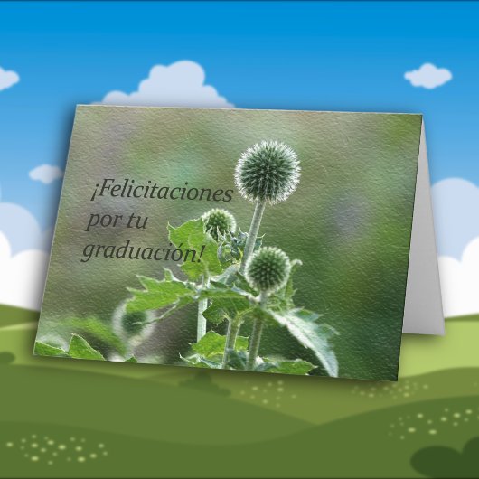 Carte Obtention du diplôme espagnole