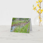 Carte OBX des hérons du ruisseau Tidal (Fleur jaune)