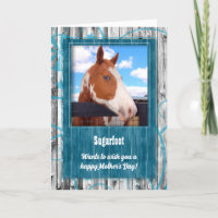 Occident Turquoise Thème du cheval Photo